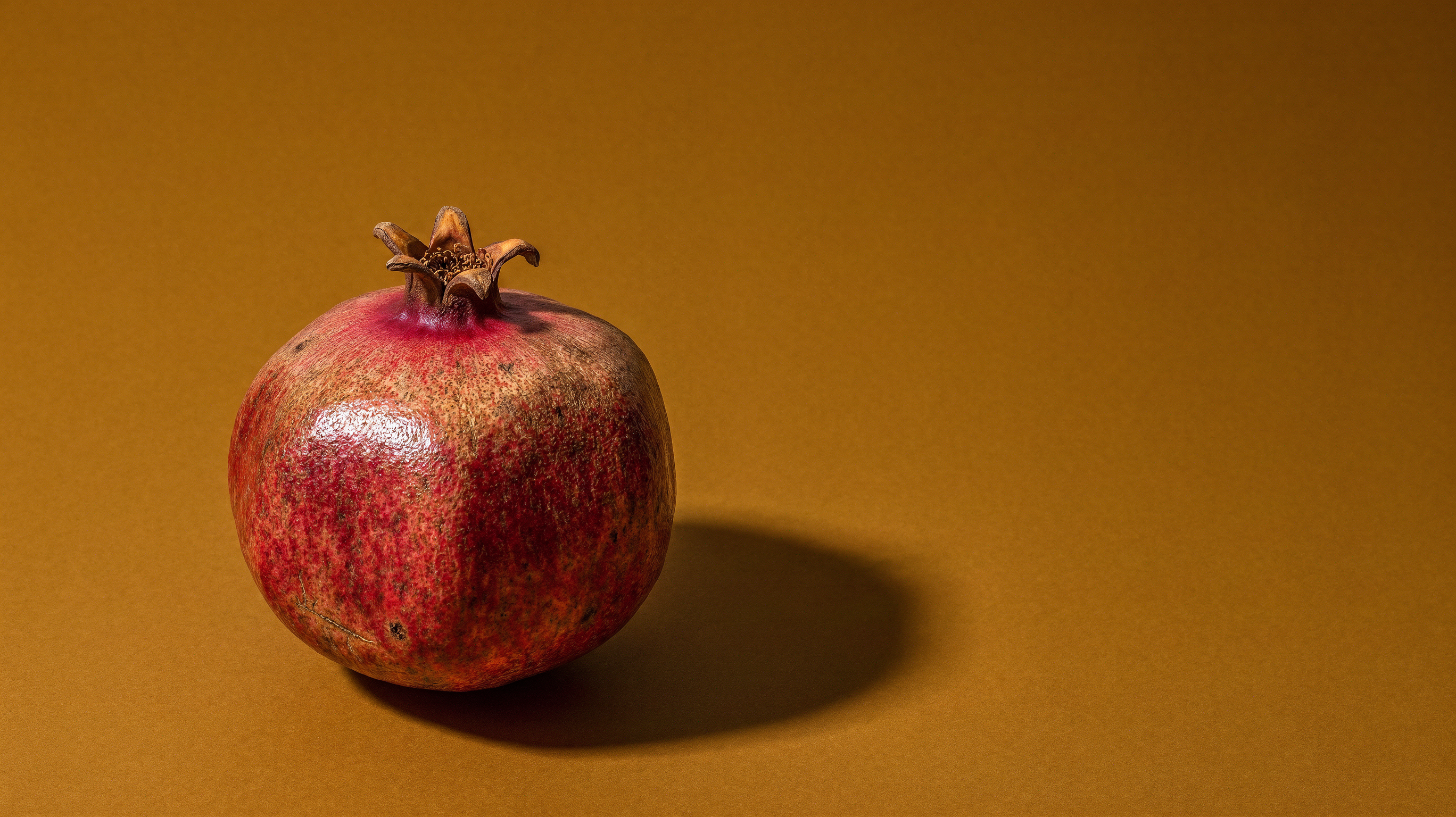 wfex-b14-input-2-A156b_pomegranate.png