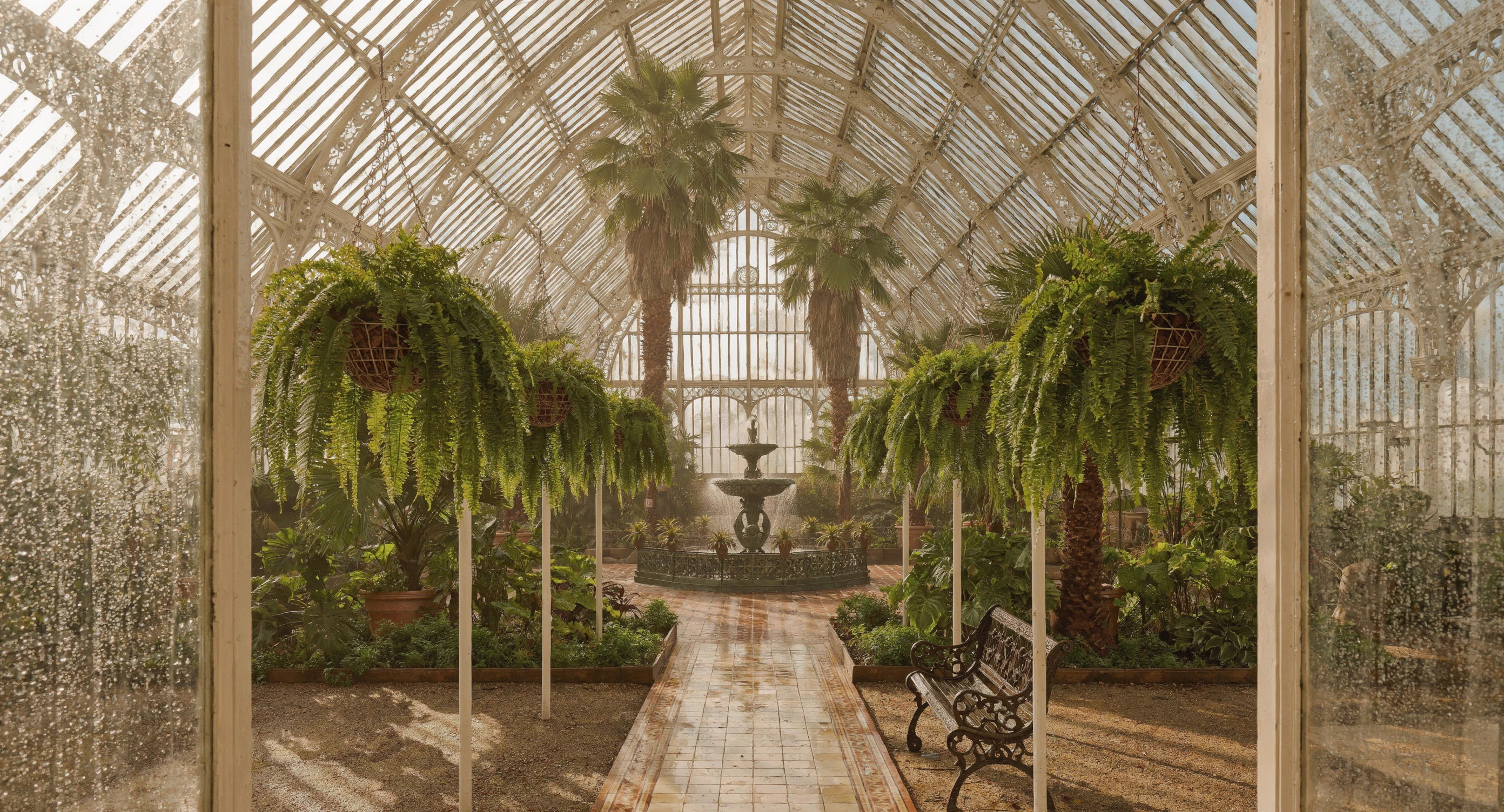 Luma Uni 1 Max Text-to-Image: Glass greenhouse interior