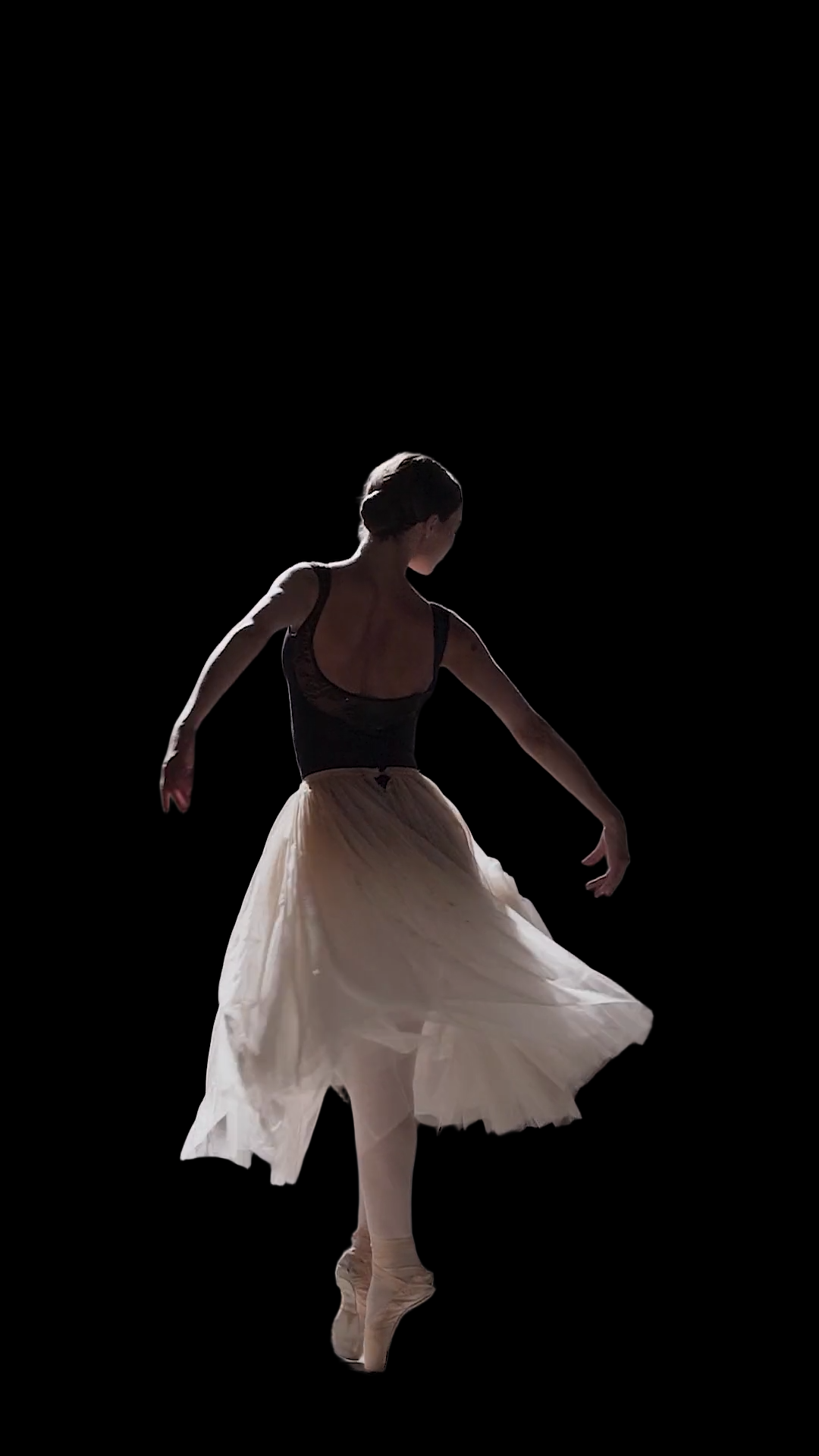 Motion Collages: 